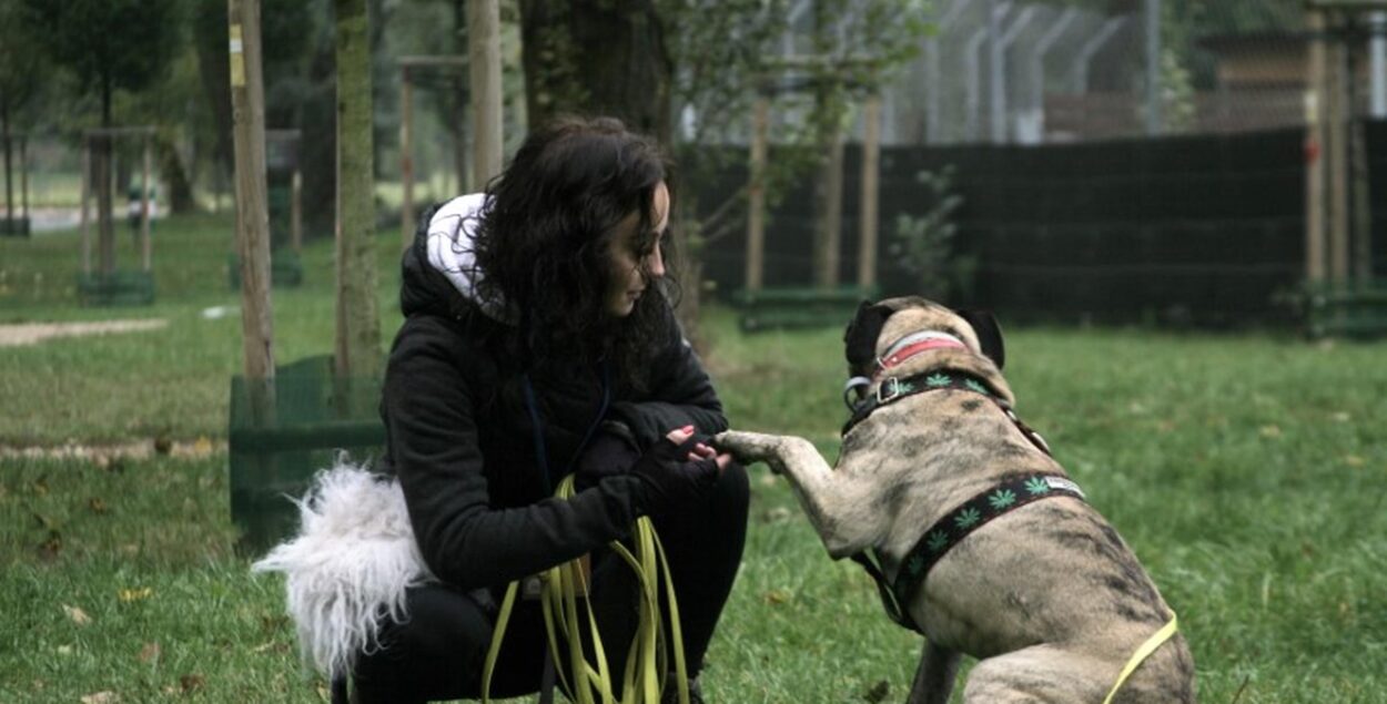 Understand your dog’s survival strategies